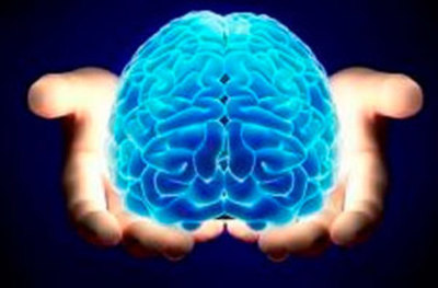 El coeficiente intelectual depende del grosor de la corteza cerebral