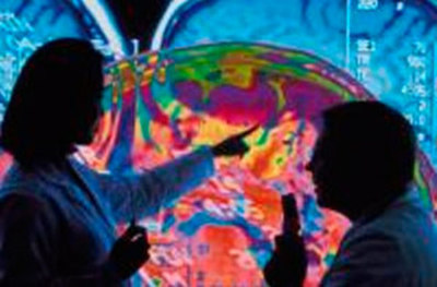 La palabra y su significado encienden la misma luz cerebral