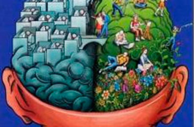 Relacionan ambos hemisferios cerebrales con el habla